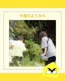 よりみち🦉🌱
こんにちは!8月も最終週、朝晩は少しずつ涼しくなり過ごしやすくなってきましたね🍃
今週の様子を一部お届けします📩
9月も子どもたちのほっとする日々を大切にしていきます☺️
#児童発達支援  #放課後等デイサービス #児童デイサービス
#札幌市 #療育 #療育サポート
#よりみちの日常 #発達障害 #ADHD